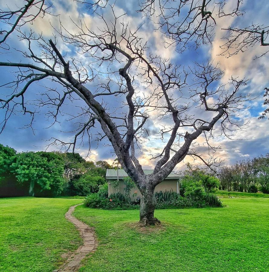 Oppieplaas Country Estate Villa Haga Haga Luaran gambar