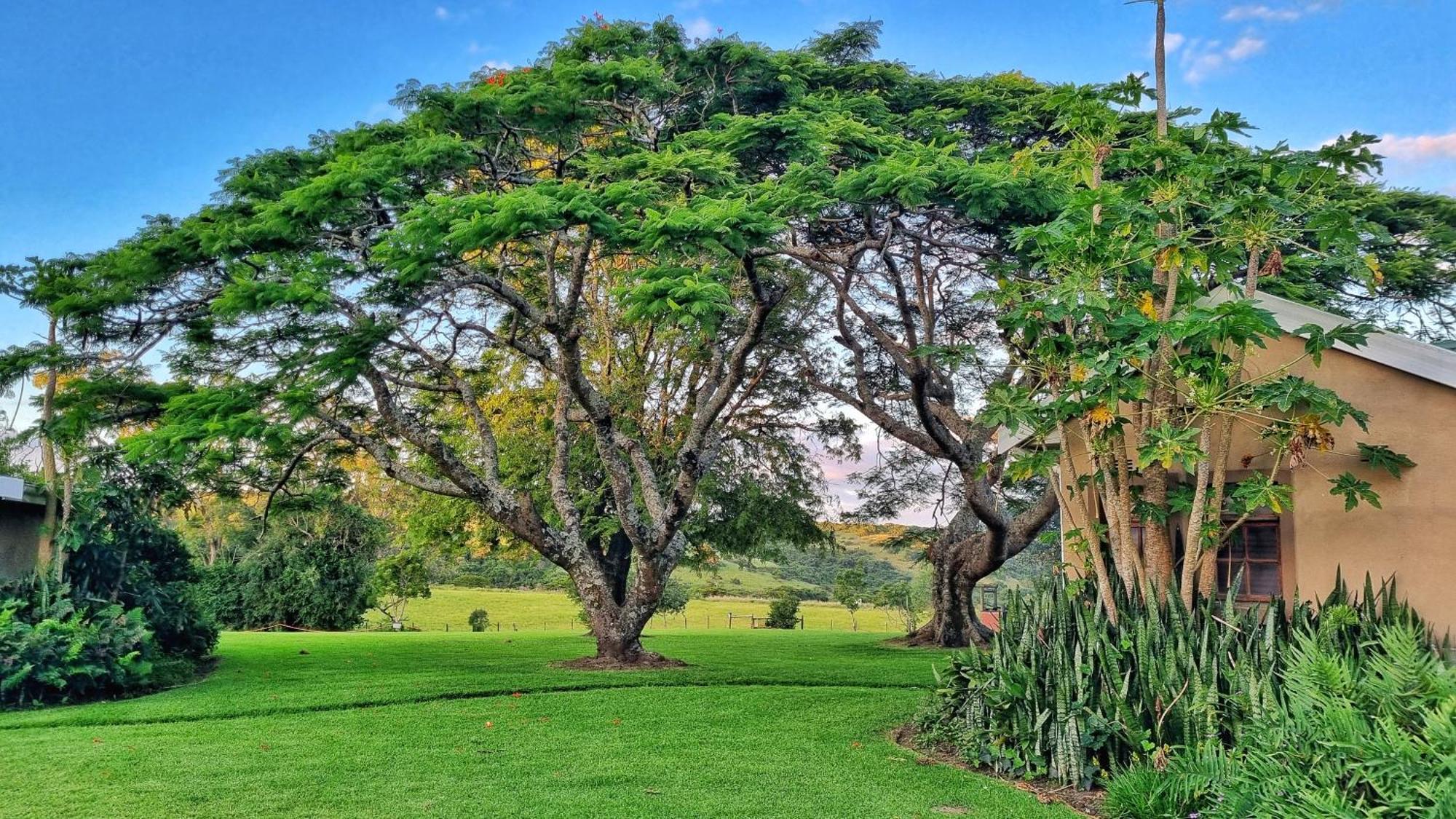 Oppieplaas Country Estate Villa Haga Haga Luaran gambar