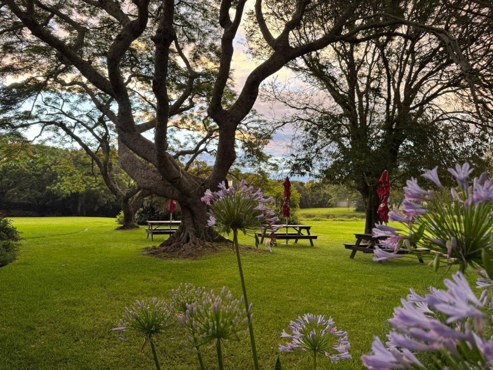 Oppieplaas Country Estate Villa Haga Haga Luaran gambar
